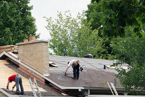 Roof Gutter Cleaning in Mount Vernon, AL