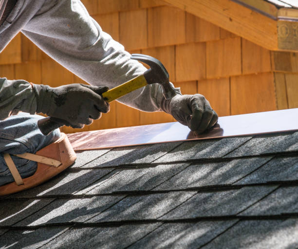 Best Roof Restoration Services  in Mount Vernon, AL